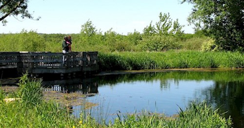 Jenni & Kyle Preserve Pond