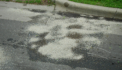 White material in road