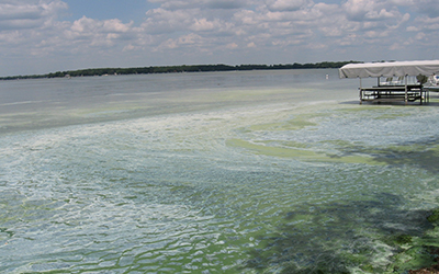Algae Bloom on Lake Kegonsa