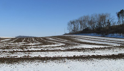 Spreading manure on a field in winter