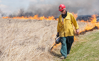 A person walking along the edge of a dry prairie with a drip torch