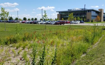 Bioretention Basin filled with native plants. Building and parking lot in background.