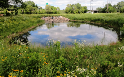 Urban Water Quality Grant Project