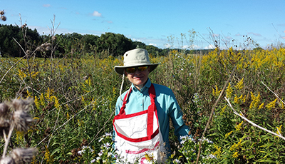 Volunteer collecting prairie seeds