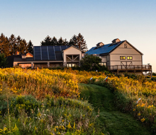 Solar panels on the Lussier Family Heritage Center. Surrounded by a prairie with yellow blooms.