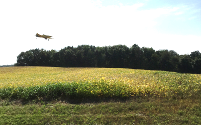 Low flying airplane flying over crop field