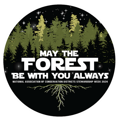 May the Forest be with You Always